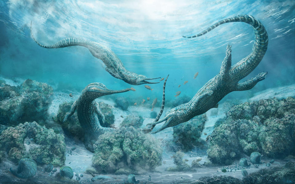 An illustration of the newly discovered phytosaur species <i>Mystriosuchus steinbergeri</i>, a crocodile-like beast that lived 210 million years ago in what is now Austria. <cite>Copyright Mark Witton</cite>